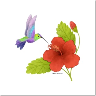 Hibiscus and Hummingbird Posters and Art